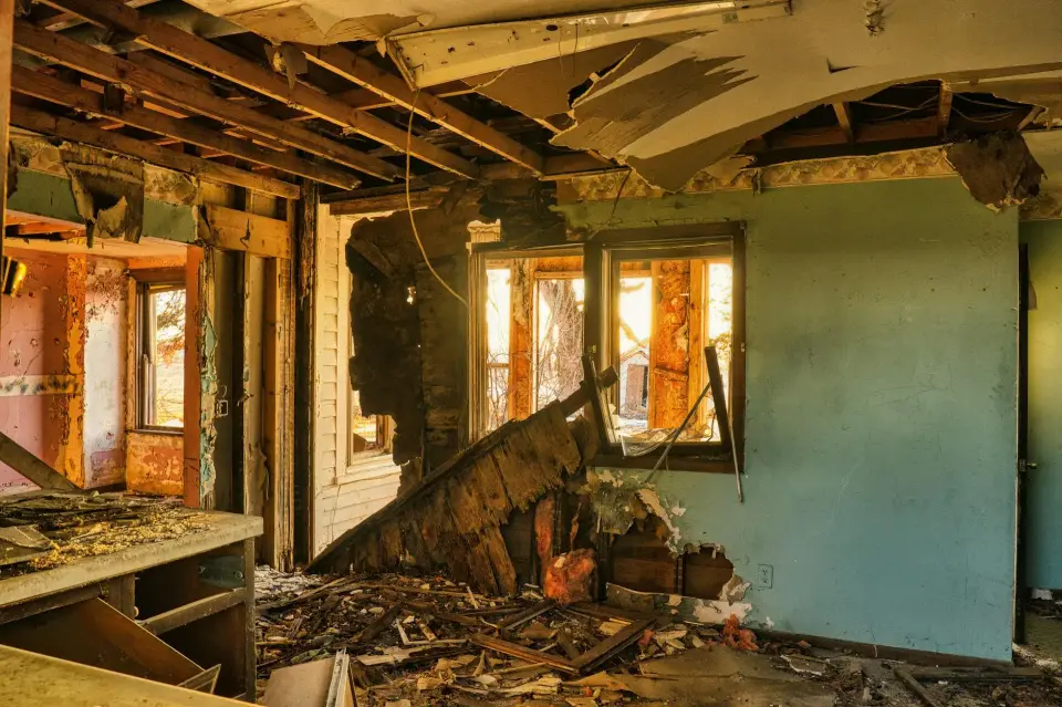 Clovis's Trusted Local Mold Abatement Specialists — Clovis, CA