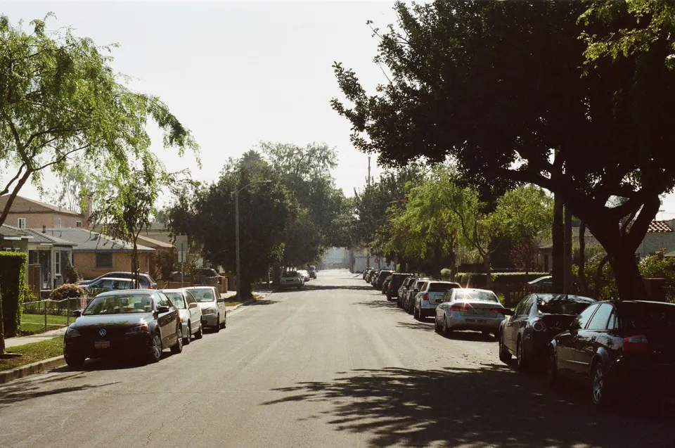mold removal Biola