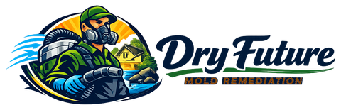 Dry Future Mold Remediation